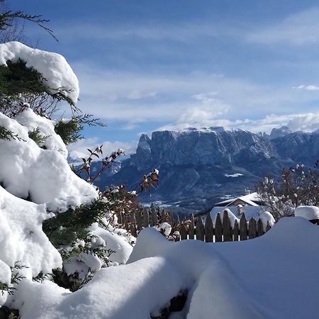 Oberpfaffstallerhof Collalbo Exteriör bild