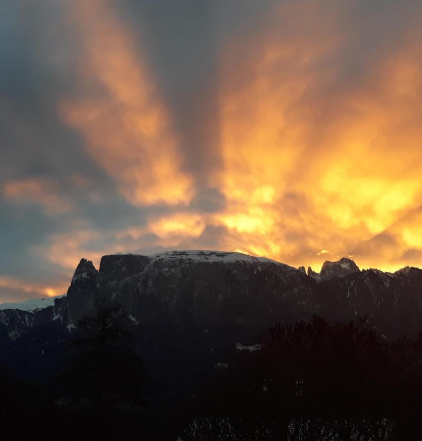 Oberpfaffstallerhof Collalbo Exteriör bild