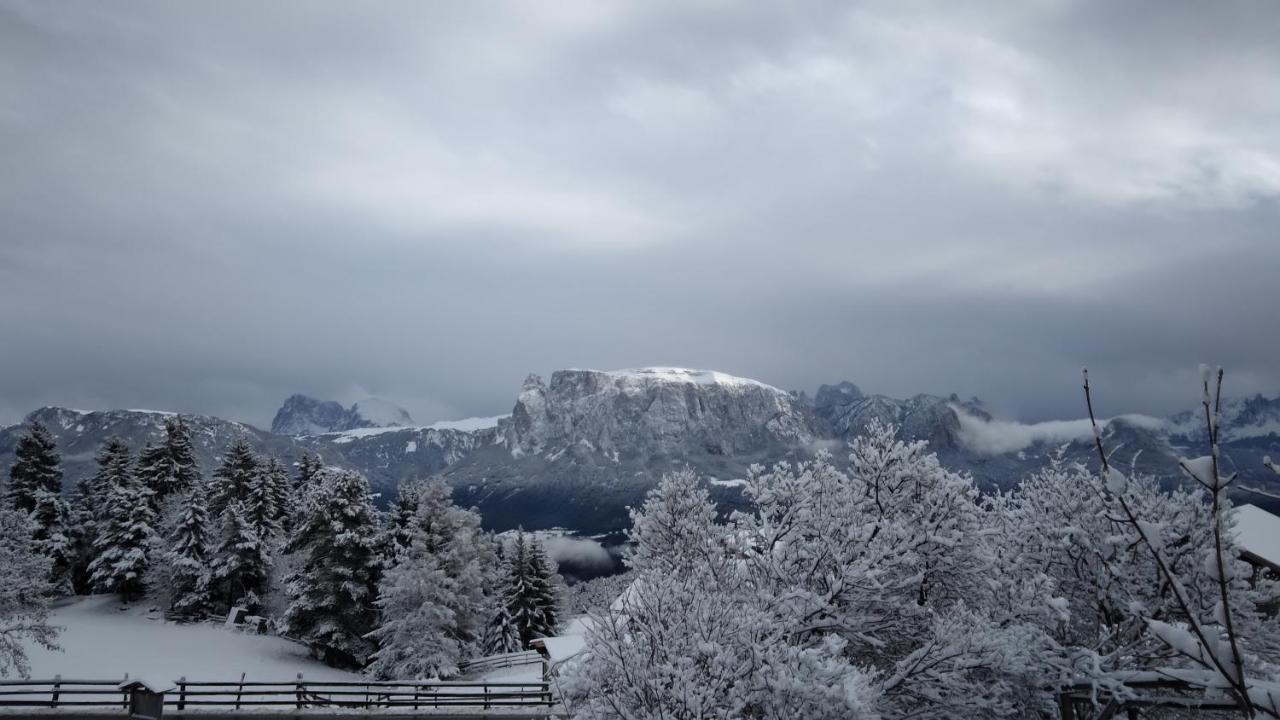 Oberpfaffstallerhof Collalbo Exteriör bild