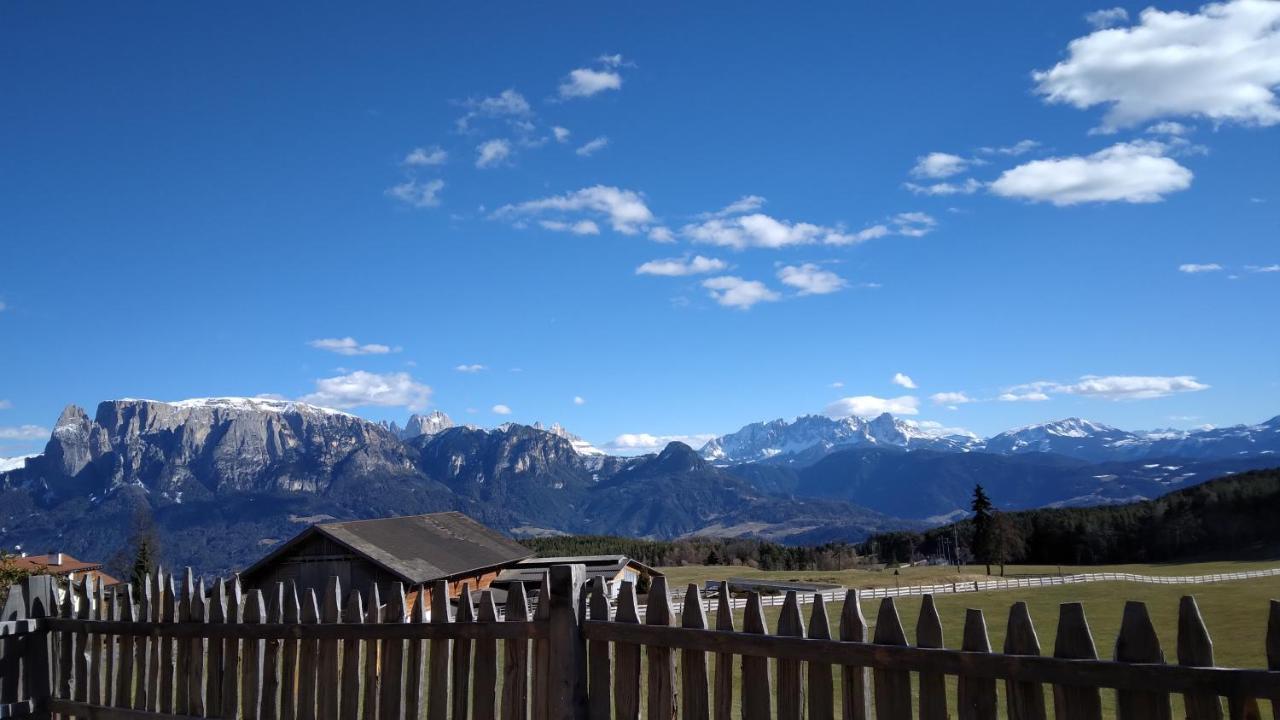 Oberpfaffstallerhof Collalbo Exteriör bild