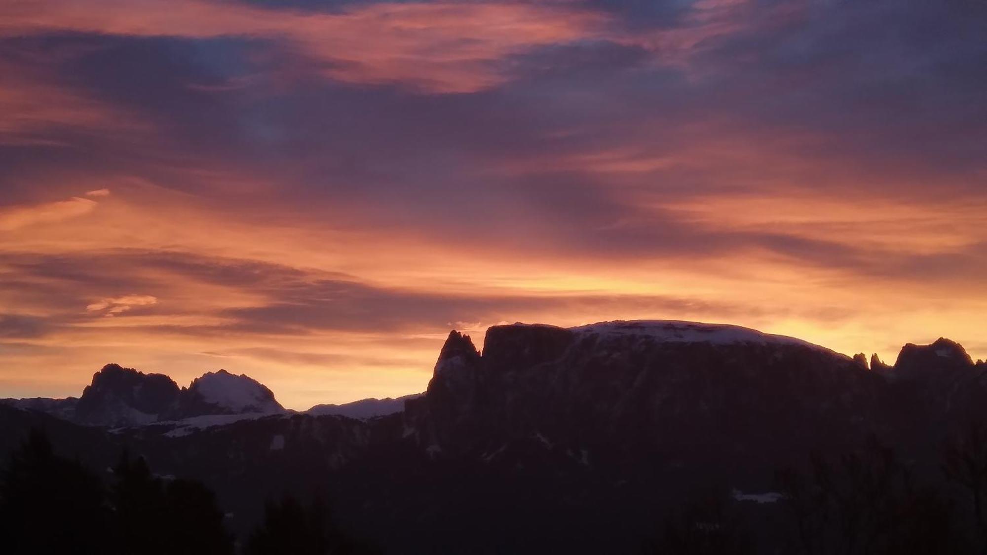 Oberpfaffstallerhof Collalbo Exteriör bild