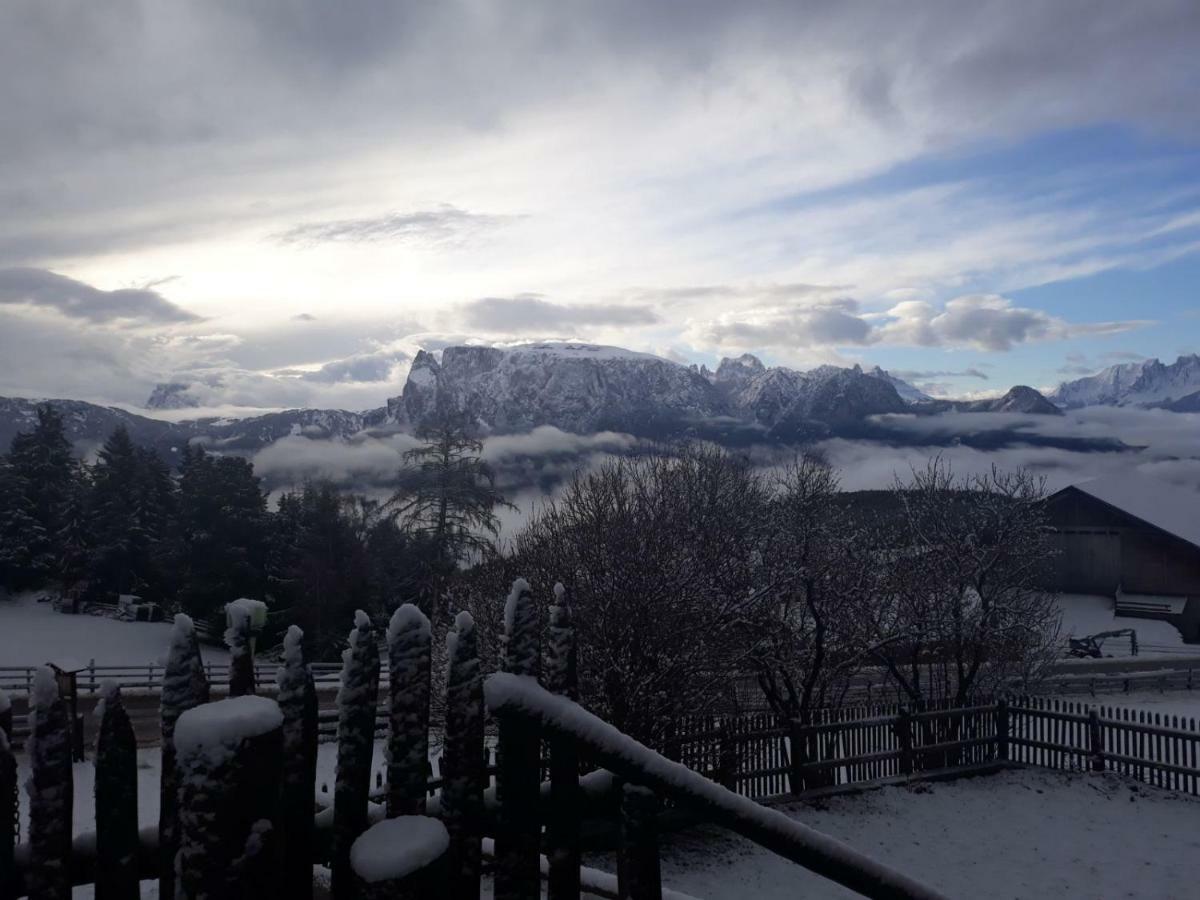 Oberpfaffstallerhof Collalbo Exteriör bild
